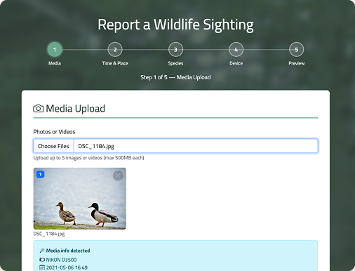 Wildlife sighting report form, Media Upload step, with an uploaded photo of two ducks and auto-detected camera metadata